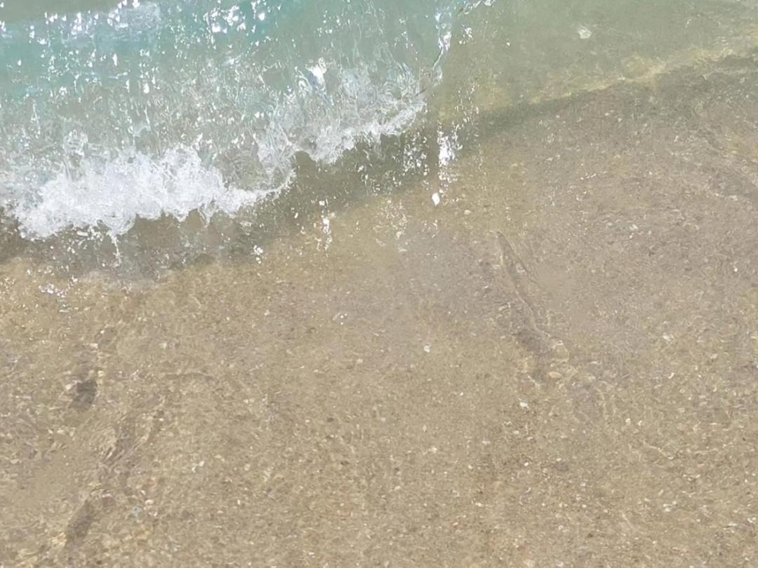 Pousada Sereia Morena Floripa Florianópolis Zewnętrze zdjęcie